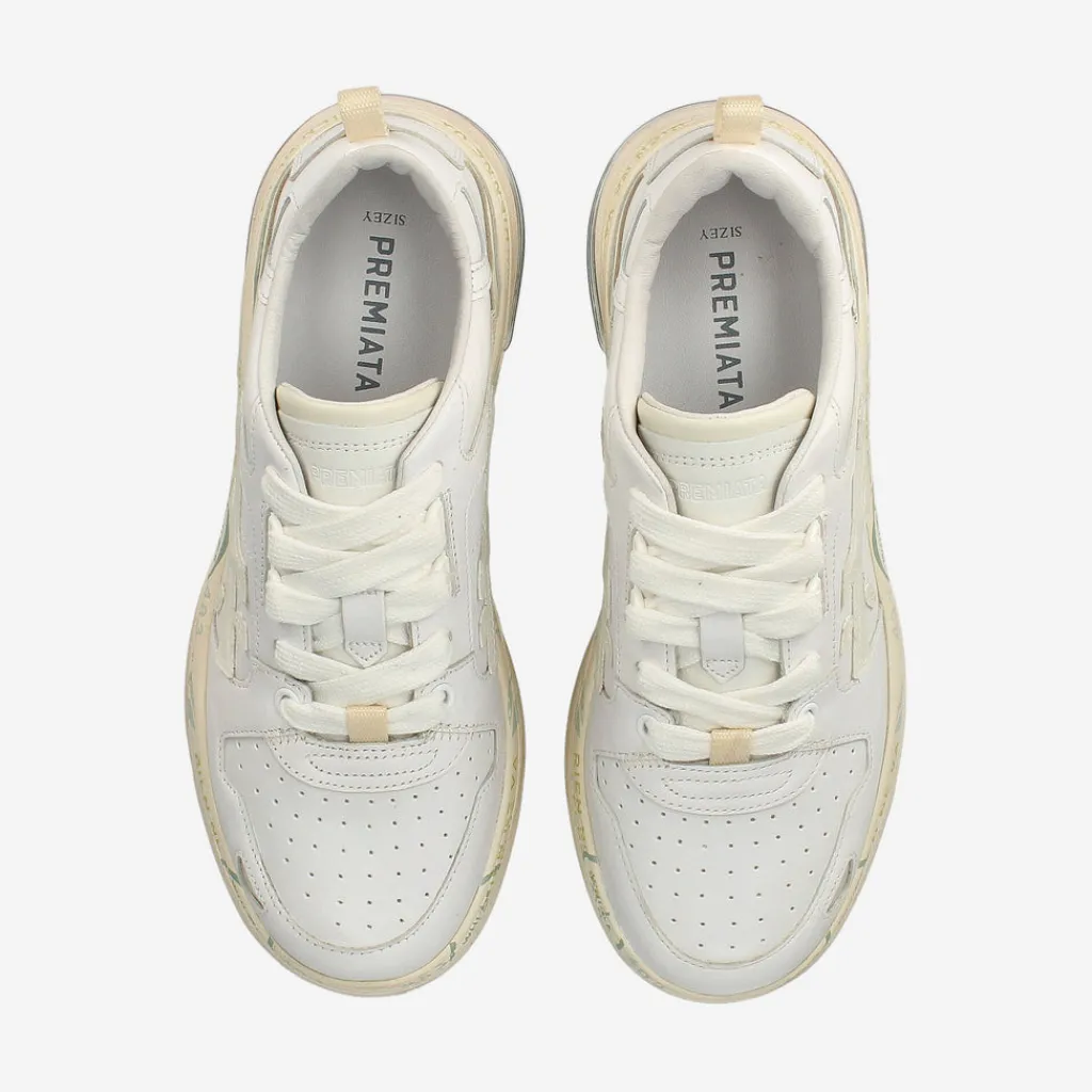 Draked 298*Premiata Best Sale